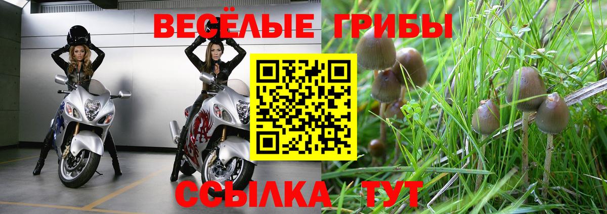 Галлюциногенные грибы мухоморы Астрахань
